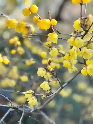 大蓮寺(京都府)