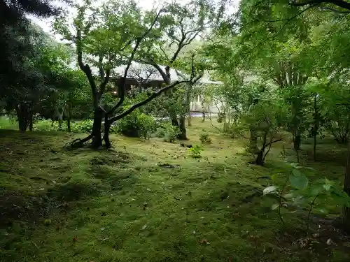 浄智寺の庭園