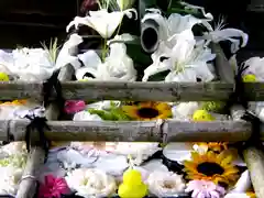 八坂神社の手水