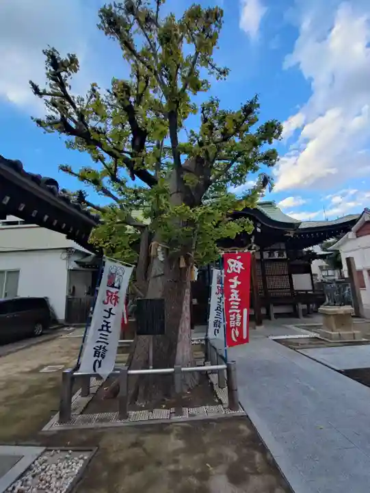 五條宮(大阪府)