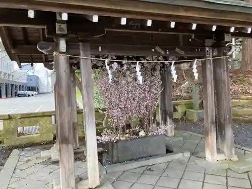 熊野大社(山形県)