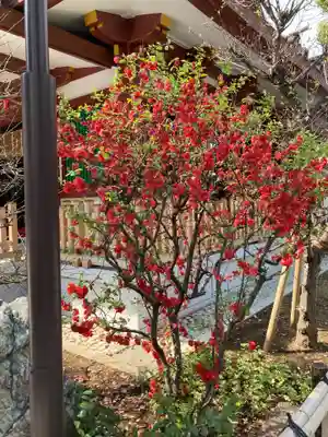 蒲田八幡神社の自然