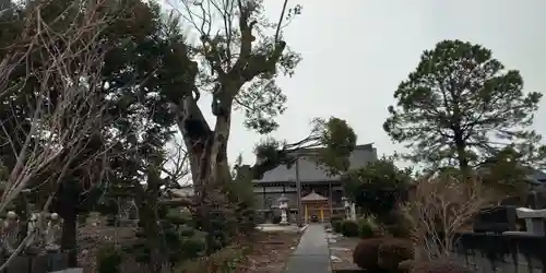 和光院(田島の血不動尊)のその他建物