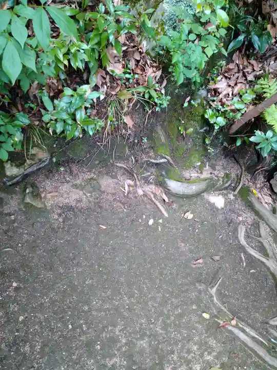 由加神社(和気由加神社)の自然
