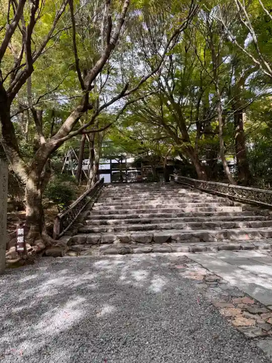 龍安寺(京都府)