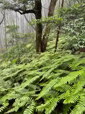 豊国廟(豊国神社飛地境内)の自然