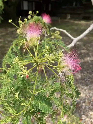竈山神社の自然