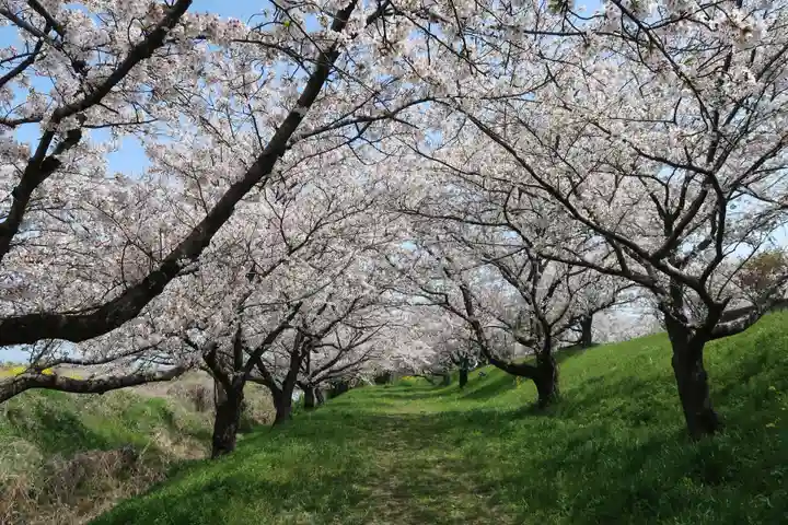 千代保稲荷神社(岐阜県)