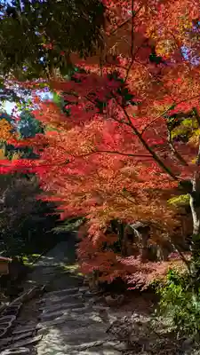 即宗院(京都府)