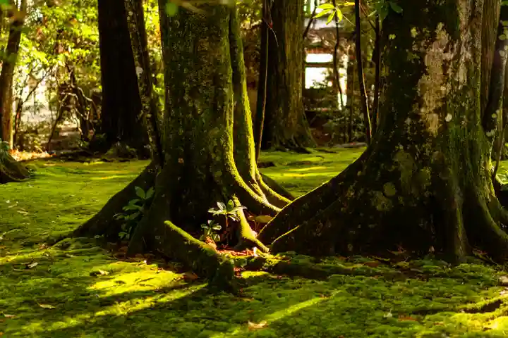 都農神社(宮崎県)