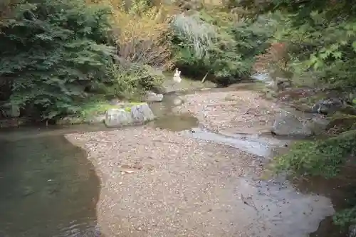 泰寧寺の庭園