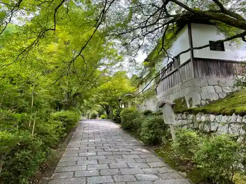 曼殊院門跡(京都府)