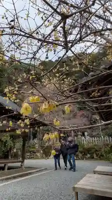 大豊神社(京都府)