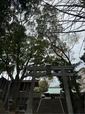 曾屋神社(神奈川県)