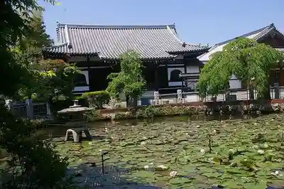 圓照寺の本殿・本堂