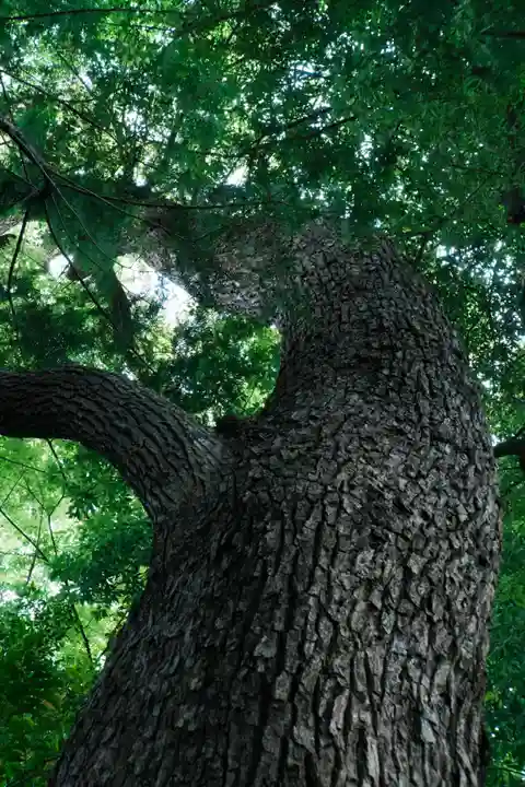 葛西神社(東京都)