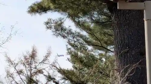 稲荷神社の景色