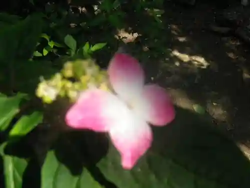 御霊神社の自然