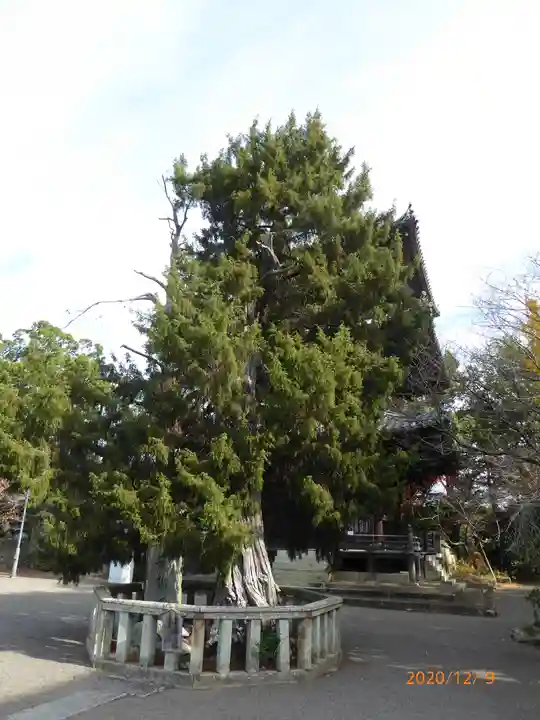 道成寺のその他建物