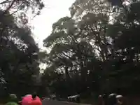 明治神宮の自然