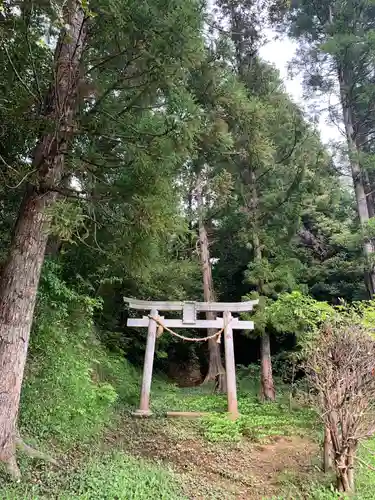 山王神社の鳥居