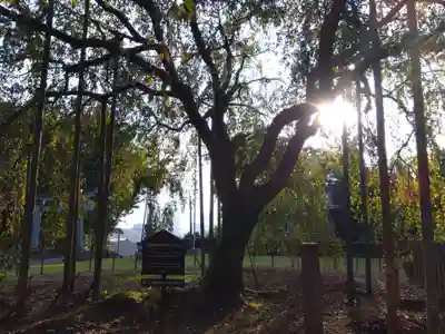 足羽神社(福井県)