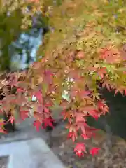 伊佐須美神社(福島県)