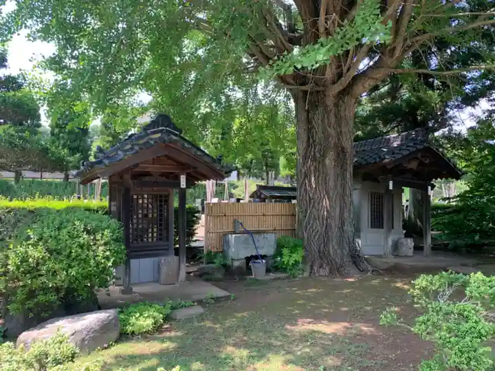 泉倉寺(千葉県)