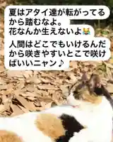 専念寺(大阪府)