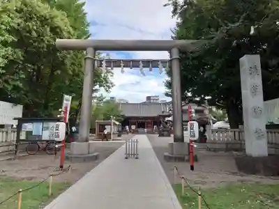浅草神社の鳥居