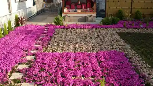 寿量山　速成寺の庭園