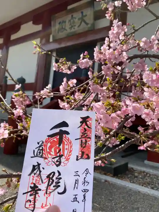 道成寺(和歌山県)