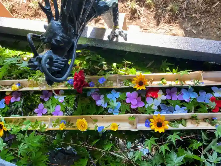 下野 星宮神社の手水舎