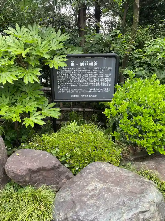 亀ケ池八幡宮の歴史