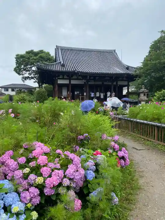般若寺 ❁コスモス寺❁(奈良県)
