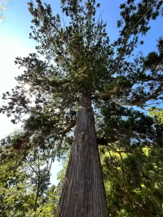 志波彦神社・鹽竈神社(宮城県)