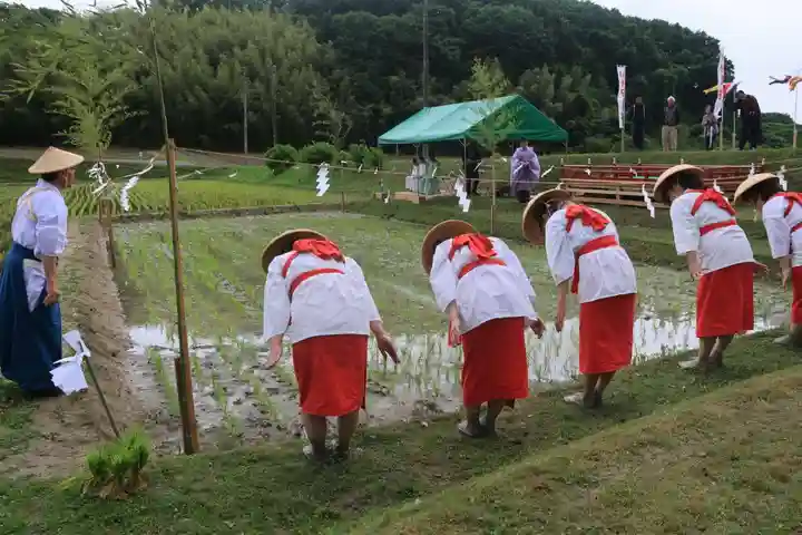 高屋敷稲荷神社のお祭り