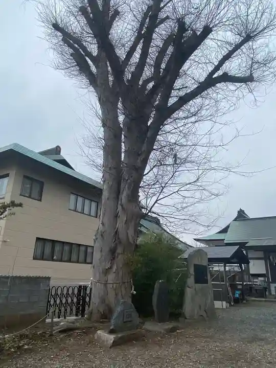 三ツ石神社の自然