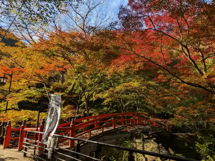 湯元 隻腕不動尊(伊香保温泉)の自然