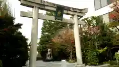 晴明神社の鳥居