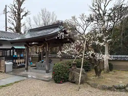 善福寺(大阪府)