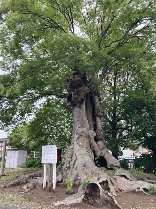 竃神社(茨城県)