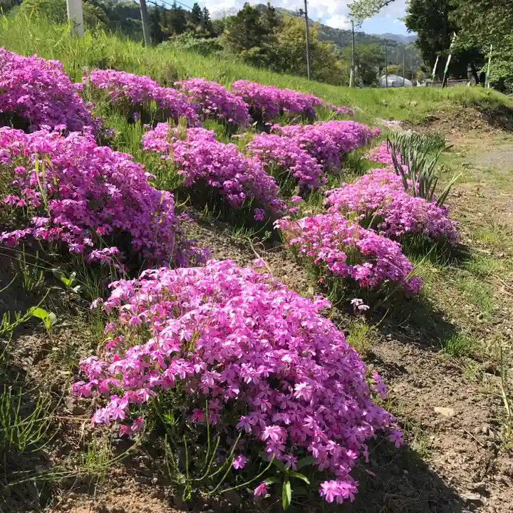 高司神社〜むすびの神の鎮まる社〜の自然