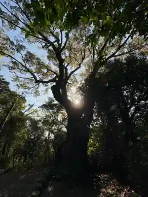 葭原神社(皇大神宮末社)の{uncategorized: "未分類", other: "その他", undefined: "問題あり", building: "その他建物", grave: "お墓", sacred_gate: "鳥居", guardian: "狛犬", statue: "像", buddha: "仏像", history: "歴史", nature: "自然", garden: "庭園", animal: "動物", pagoda: "塔", temizu: "手水舎", mountain_gate: "山門・神門", sanctuary: "本殿・本堂", subordinate: "末社・摂社", art: "芸術", scenery: "景色", jizo: "地蔵", ema: "絵馬", goshuin: "御朱印", omikuji: "おみくじ", items: "授与品その他", amulet: "お守り", goshuincho: "御朱印帳", eats: "食事", festival: "お祭り", votive_dance: "神楽", shichigosan: "七五三参", wedding: "結婚式", experience: "体験その他", initially: "初詣", around: "周辺", anti_infection: "感染症対策"}