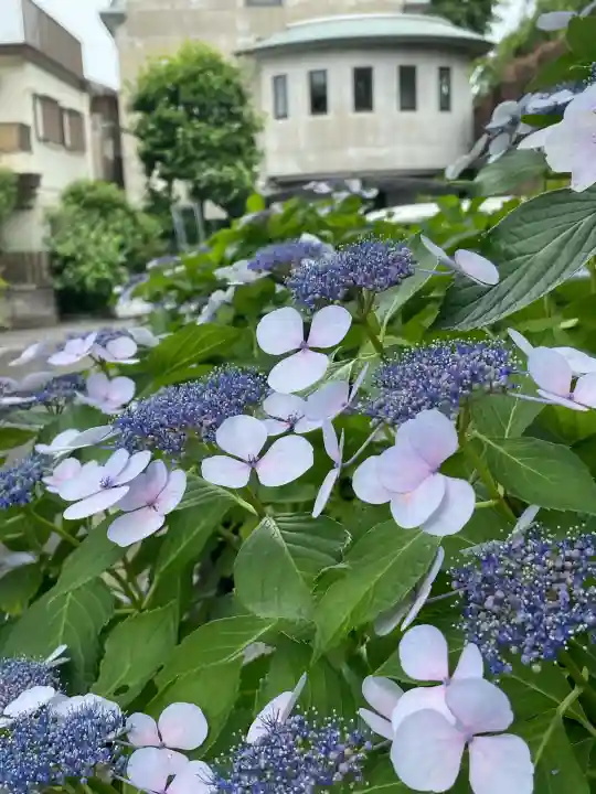 宝積寺(神奈川県)