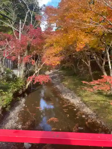 小國神社(静岡県)