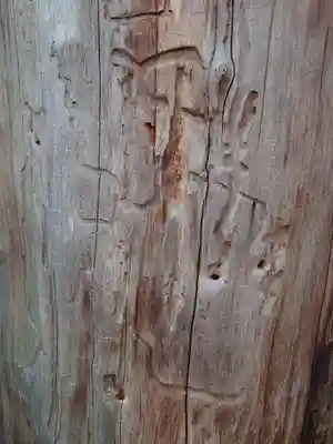 地主神社のその他建物