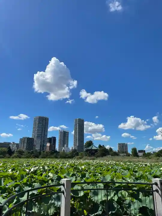 寛永寺不忍池弁天堂(東京都)