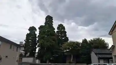 越中白山総社の景色