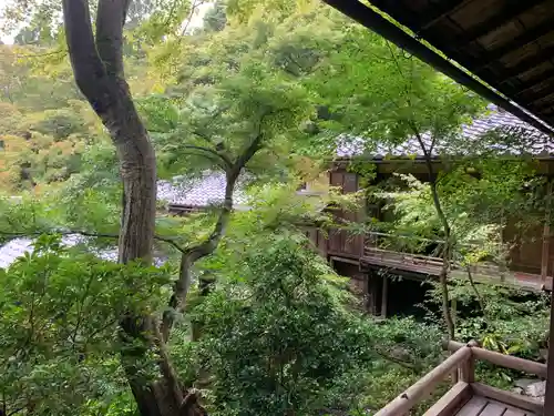 光明寺瑠璃光院の庭園